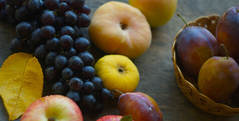Black grapes, yellow leaves, various fruits on a blackboard