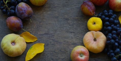 Black grapes, yellow leaves, various fruits on a blackboard