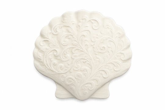 White decorative shell with intricate patterns on transparent background  