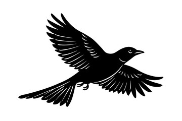 Fototapeta premium eagle in flight vector