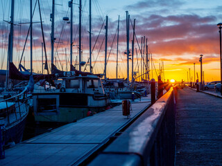 A sun rise over a marina with silhouettes of masts of many boats and yachts docked. Teal and orange...
