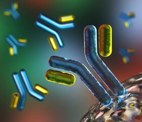 Antibodies, blood plasma globular proteins,  background antibodies, banner,  immunoglobulin, 3d rendering