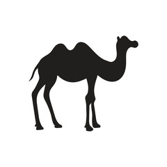 Camel animal silhouette. Vector image