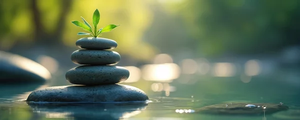 Wandcirkels Zen Stack of zen stones with green plant, water in spa. Wellness concept, meditation, harmony, balance. Nature, self care, zen, relaxation, spa, therapy, well-being, calm, peaceful.  © Pete