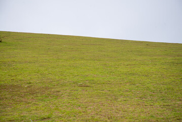 Obraz premium Misty Hills and Countryside Drive – Scenic View from Ooty Highlands