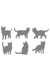 Collection of black cat silhouettes in various poses. Set of cat silhouette. Kitten silhouette collection isolated on white background