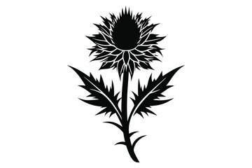 Elegant Black Silhouette of a Thistle Flower with Detailed Leaves and Stem Design