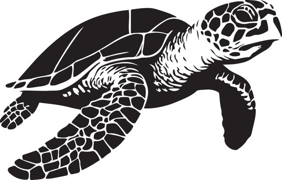 Sea turtle elegant silhouette black and white, Graceful marine turtle flat artwork