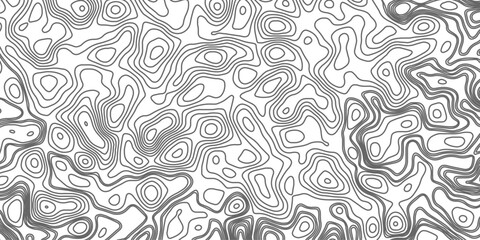 Minimalist topographic contour lines on a clean white background, smooth elevation curves, black fine lines, abstract geographic map style, elevation lines forming organic shapes, high contrast, 