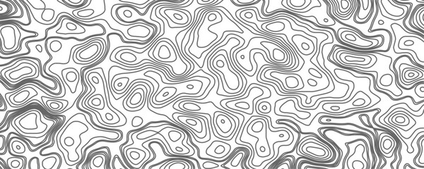 Obraz premium Minimalist topographic contour lines on a clean white background, smooth elevation curves, black fine lines, abstract geographic map style, elevation lines forming organic shapes, high contrast, 