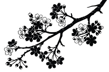 Blossoming branches of cherry with blooming flowers is depicted in solid black and white