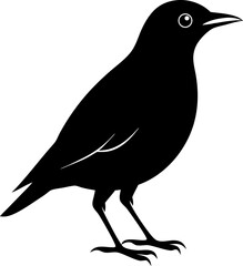 crow silhouette vector icon 