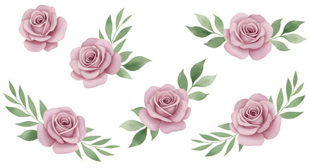 Watercolor Pink Roses and Greenery Set
