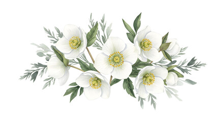 Obraz premium White Hellebore Flower Bouquet on Transparent Background