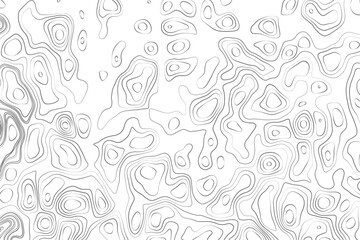 Minimalist topographic contour lines on a clean white background, smooth elevation curves, black fine lines, abstract geographic map style, elevation lines forming organic shapes, high contrast, 
