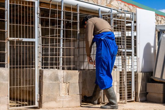 Kennel worker cleaning dog kennel in animal shelter on sunny day