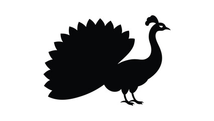 Striking peacock with decorative open tail feathers in elegant style silhouette