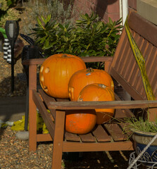 A collection of pumpkins and gourds, various sizes and colors, including orange, green, and white. ...