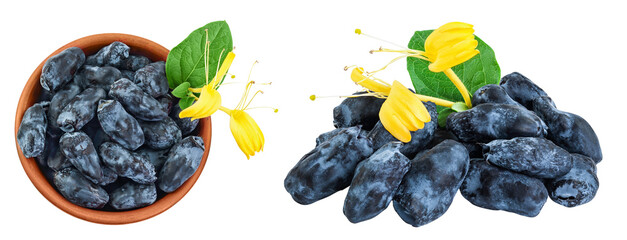 Fresh honeysuckle blue berry in ceramic bowl isolated on white background with full depth of field....
