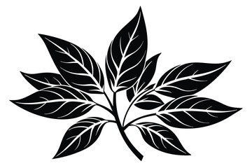 Black Leafy Branch Illustration Elegant Botanical Design with Visible Veins and Detailed Foliage