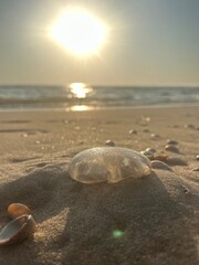 Strand zonsondergang
