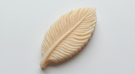 Light beige feather shaped mold object