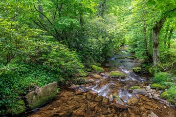 western north carolina river