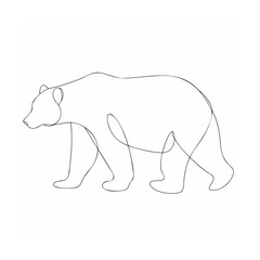 polar bear vector illustration