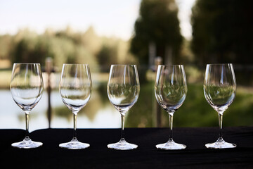 Close-Up of Empty Wine Glasses