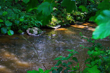 Hiking along the Mitternacher Ohe Stream in the bavarian Forests in Germany
