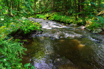 Hiking along the Mitternacher Ohe Stream in the bavarian Forests in Germany