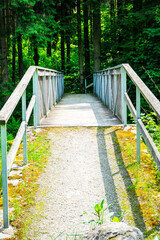 Wood and tell Bridges over the Mitternacher Ohe River in the bavarian Forests Germany.