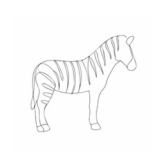 zebra vector illustration