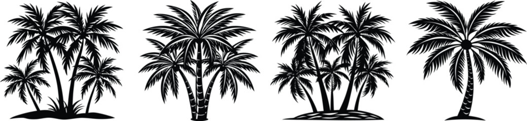 Palm trees set on a white backround .