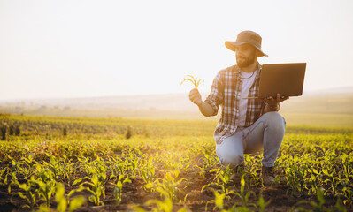 Agronomist Examining Corn Crop with Laptop in Field at Sunset
