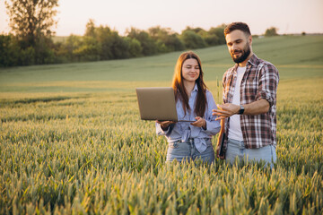 Agronomists using laptop examining wheat crop in field