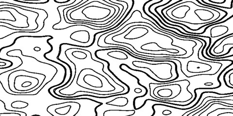Abstract geographic topographic map style, elevation lines forming organic shapes, high contrast.