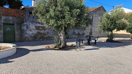 Public Square with Olive Trees and Benches – Rustic Urban Scene