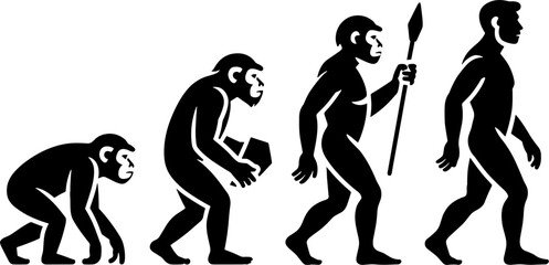 Fototapeta premium Human Evolution Timeline Ape To Early Man Walking Progression