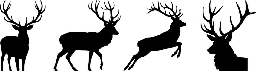 Fototapeta premium Silhouette Deer Set Stag Antlers Wildlife Animals