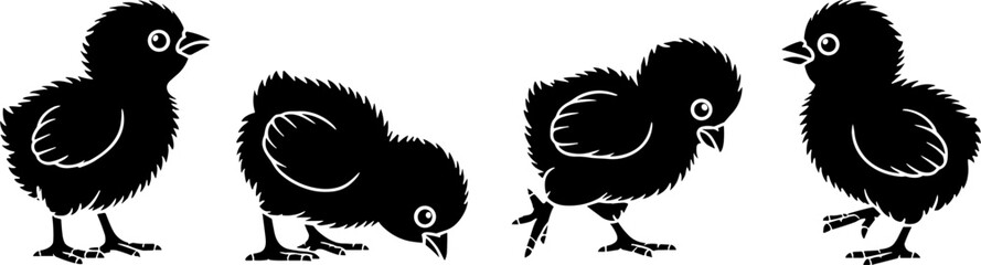 Obraz premium Black Silhouette Baby Chick Set Farm Animal Illustration