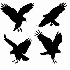 Majestic Hawk Silhouettes Design Set perfect for logos branding and graphic design projects