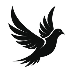 Obraz premium pigeon bird silhouette and illustration vector with editable design 