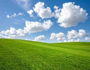 Obraz premium 草原 雲