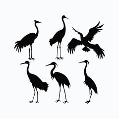 Obraz premium Adobe Illustrator Artwork