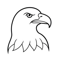 High resolution bald eagle illustrations head and full body shots for banners and advertisements