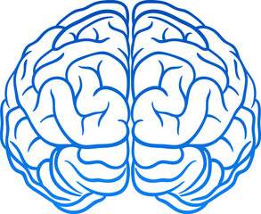 Human brain hempshires icon design. Soft blue gradient isolated brain clip art. Simple vector line art for Science Projects, Healthcare Infographics, and Academic use