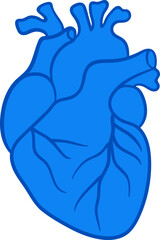 Flat blue human heart with valve simplified anatomical vector. Illustration in modern flat style. Minimal medical  isolated cardio organ icon