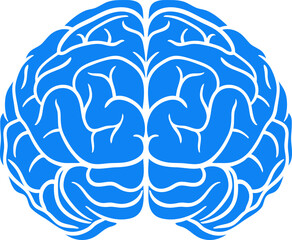 Blue vector illustration of human brain hemispheres. Simple flat design for medical and educational use  minimal neuroscience graphic showing left and right brain.