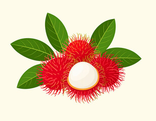 An icon of rambutan isolated on a transparent background, png. 